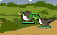Bird Blast