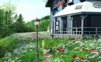Countryside