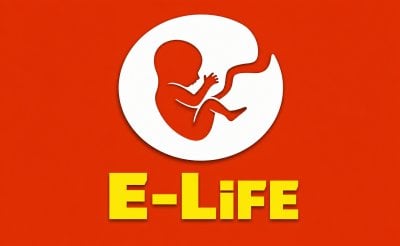 E-Life Simulator
