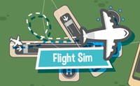 Flight Sim