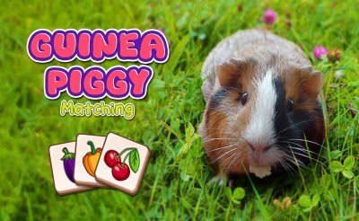 Guinea Piggy Match