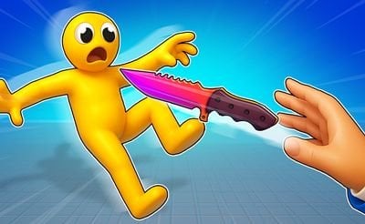 Ninja Vs Ragdolls