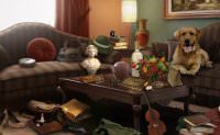 Room With A Past