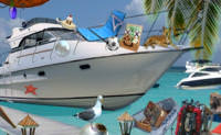 Tahiti Hidden Pearls