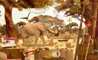 Wild Safari