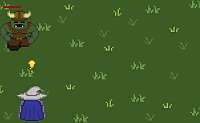 Wizards Run